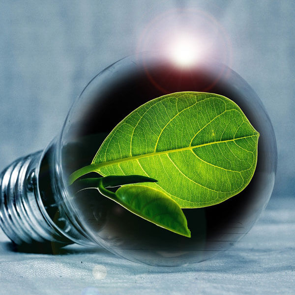 Energy-efficient Lighting Market 2029 Worldwide Analysis on Revenue, Segmentation and Key Players
